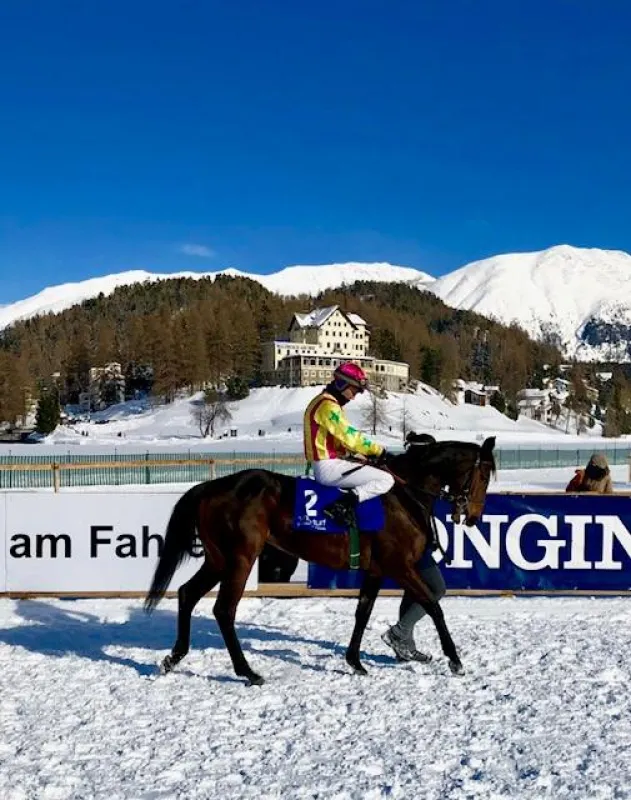 Lovelett unter Jockey B. Murzabayev in den Farben von Stall Bethke-Jaenicke