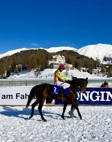 Bild: Düsseldorfer Rennstall siegt mit Stute LOVELETT in St. Moritz