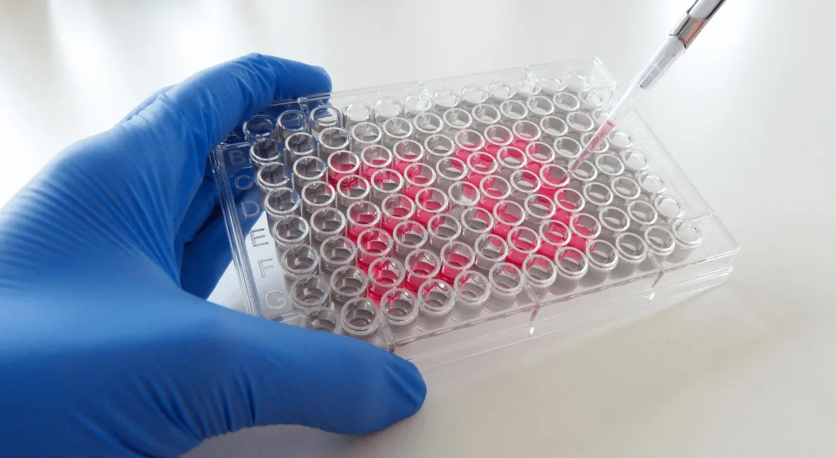 Konstanzer Biotechnologie-Unternehmen trenzyme feiert 20-jähriges Bestehen. Copyright trenzyme GmbH