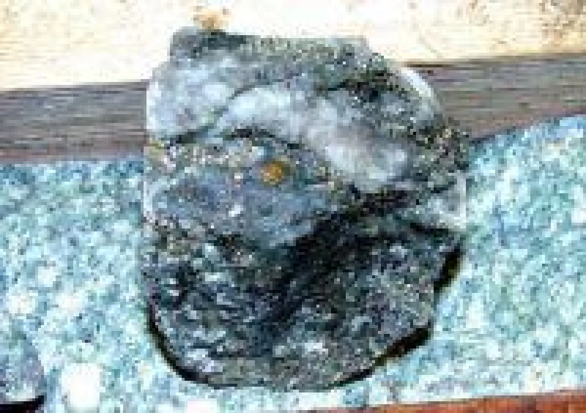 Silver King-Erz mit 240 Gramm Gold pro Tonne; Foto: Prize Mining