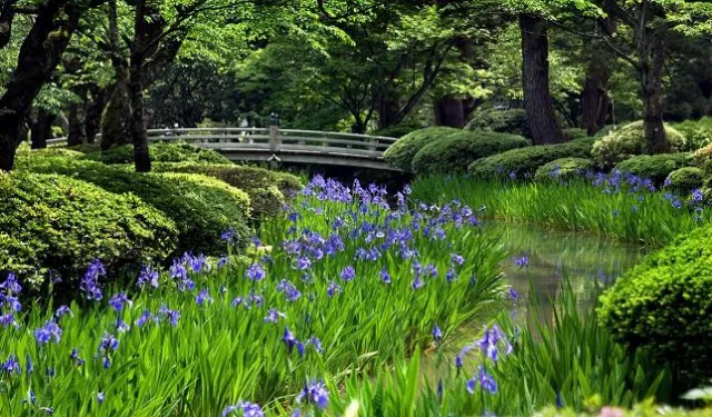 Bild: Hokuriko – Kunst und Kultur zwischen Bergen und Meer