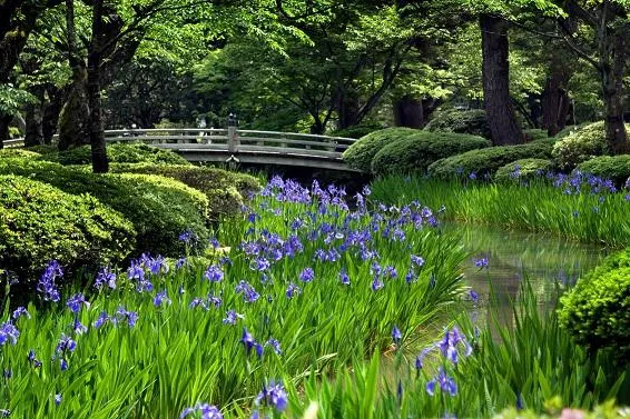 Bild: Hokuriko – Kunst und Kultur zwischen Bergen und Meer