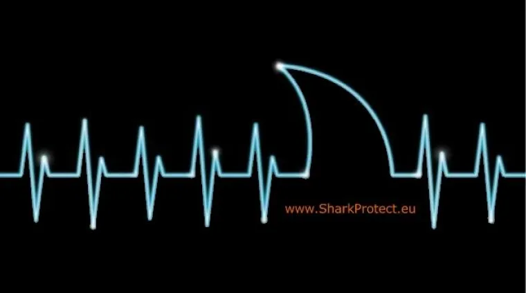 Bild: Kinoerlebnis der besonderen Art