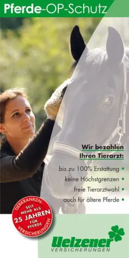 Bild: Kann Ihr Pferd retten – und kostet nicht mehr als ein Sack Hafer