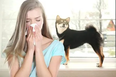 Bild: Allergisch – Was tun, wenn der geliebte Vierbeiner zum Gesundheitsrisiko wird?