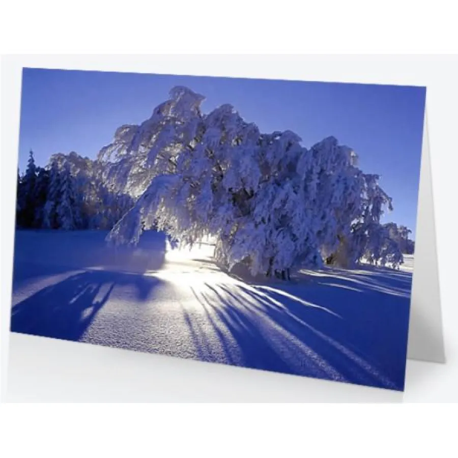 Weihnachtskarte mit Spende ans Green Cross