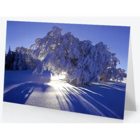 Bild: Weihnachts-und Neujahrskarten 2011