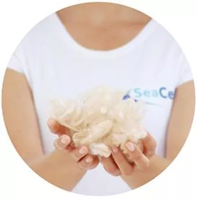 SeaCell®: Die natürliche, hautpflegende Faser mit Algen Bild: SeaCell®: Die natürliche, hautpflegende Faser mit Algen