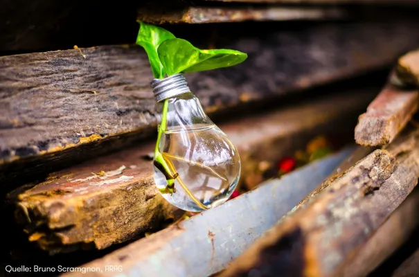 Bild: Alte Dinge weiternutzen: Was bei Verschenkekisten & Co. gilt