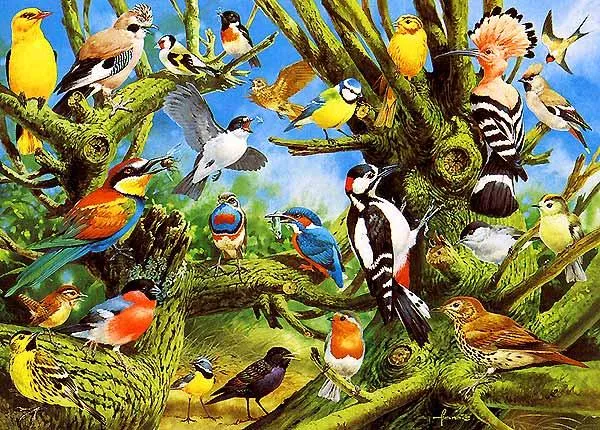 Über 100 Puzzlemotive aus dem Bereich Tier- und Naturschutz Bild: Über 100 Puzzlemotive aus dem Bereich Tier- und Naturschutz