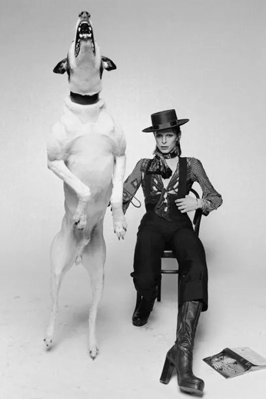 Diamond Dogs, 1974 by Terry O'Neill, courtesy Galerie Stephen Hoffman