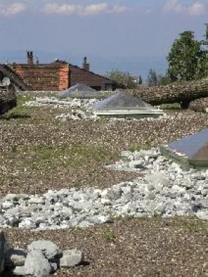 Bild: Neues System für aktiven Natur- und Artenschutz auf dem Dach
