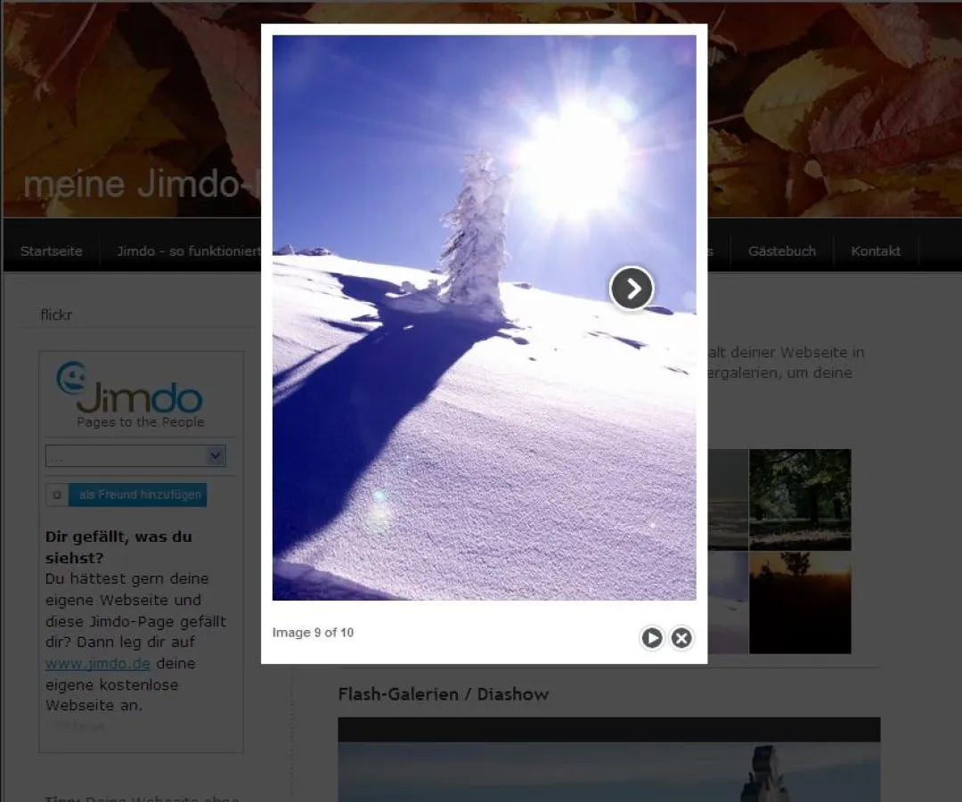 Jimdo-Fotogalerie - bis zu 12.500 Bilder im kostenlose Fotoalbum online