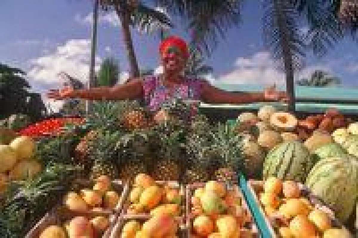 Marktfrau mit bunten Früchten, Foto: Wikinger Reisen. Abdruck honorarfrei, bitte nur mit Quellenangabe. Foto senden wir gern in hoher Auflösung zu. Bitte per Mail bei der Pressestelle anfordern.