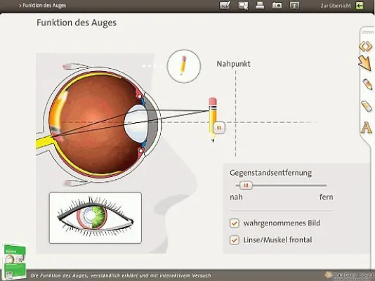 Bild: Braingame stellt kostenlose Demoversionen des kommenden Whiteboard-Portfolios online