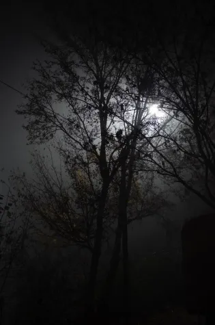 The Dark Side Bild: The Dark Side