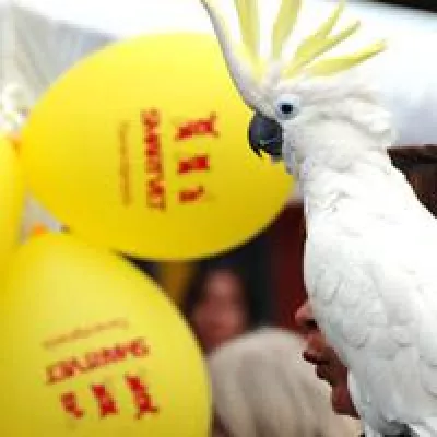 Bild: Großes Haustier-Fest in Nürnberg, anlässlich der SmartVet Tierarztpraxis-Eröffnung am Samstag dem 28.7..