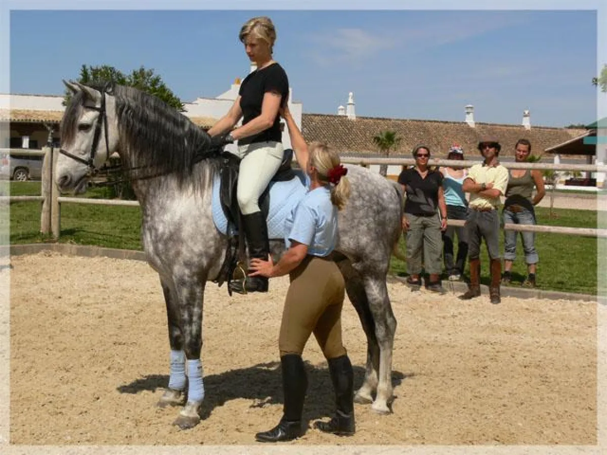 Sitzkorrektur und Haltungsanalyse