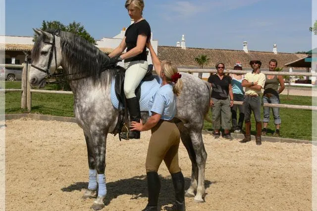 Entspannter Sitz - Entspanntes Reiten: Osteopathie-Sommer-Seminar in Andalusien Bild: Entspannter Sitz - Entspanntes Reiten: Osteopathie-Sommer-Seminar in Andalusien