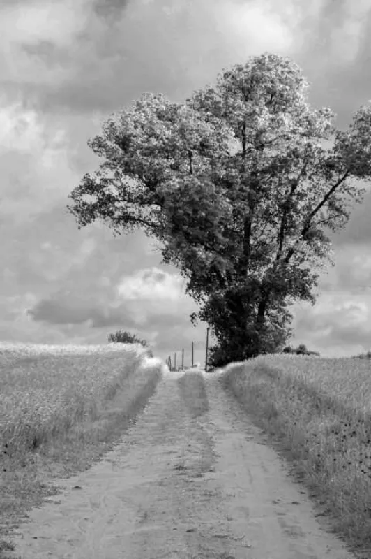 Der Weg ist das Ziel