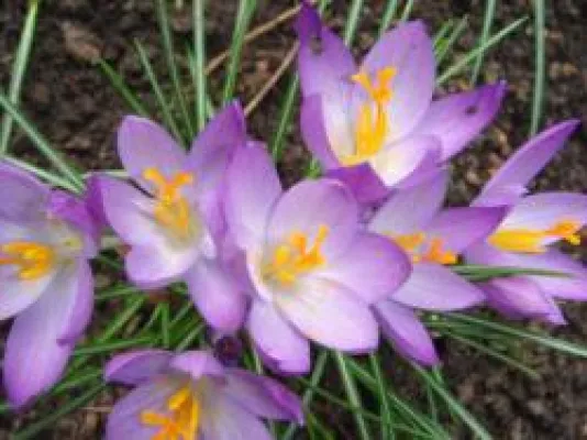 Bild: Ostern 2008 mit bunten Eiern für Unternehmer