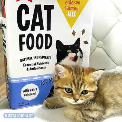 Hund und Katze im Retro Stil - Tierisches von Nostalgic-Art Bild: Hund und Katze im Retro Stil - Tierisches von Nostalgic-Art