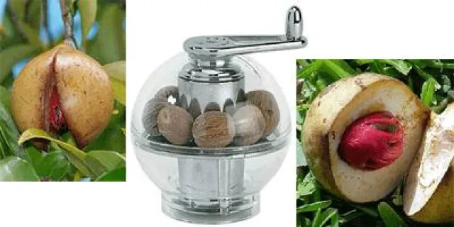 Bild: MasterCuisine gesund: Muskat aus der Mühle