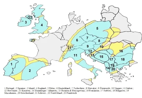 Bild: New Generation ... High-Speed Internet via Satellit mit bis zu 8192 kbit/s