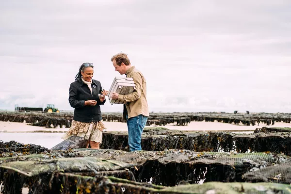 Bild: Die Kanalinsel Jersey kulinarisch erwandern