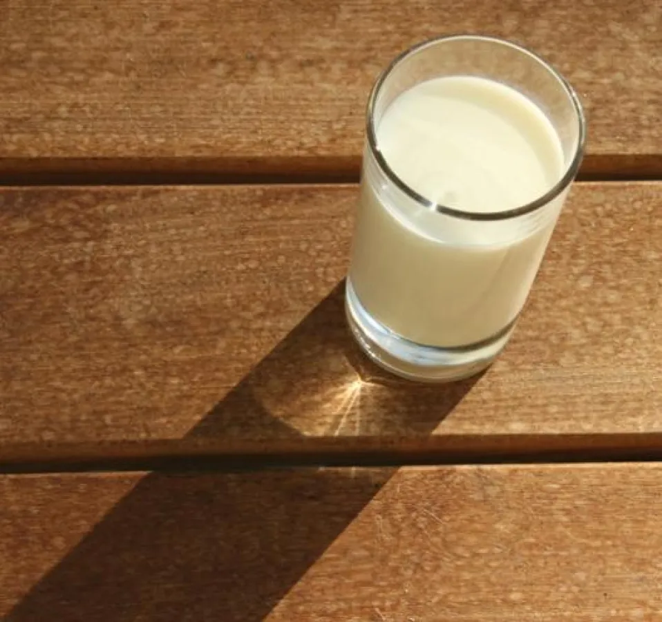Milch macht fit (Foto: Initiative Milch)