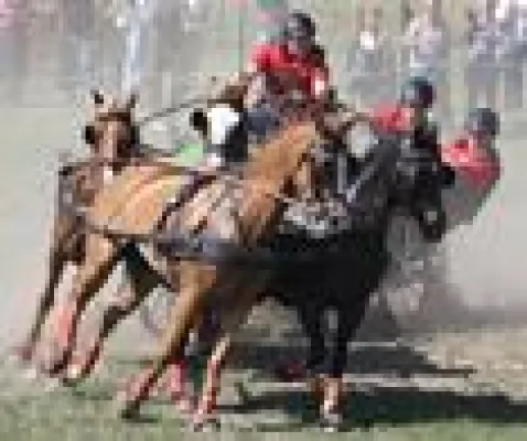 Bild: Verlosung von Freikarten für die Deutschen Meisterschaften in Schildau