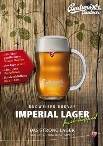 Bild: Deutschlandpremiere für Budweiser Budvar Imperial Lager „fresh-hopped“ mit erntefrischem Hopfen
