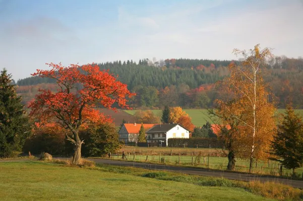 Bild: Wandern in den Herbstferien auf dem Vulkanring Vogelsberg