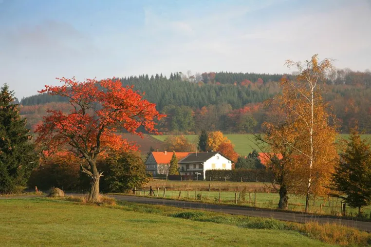 Bild: Wandern in den Herbstferien auf dem Vulkanring Vogelsberg