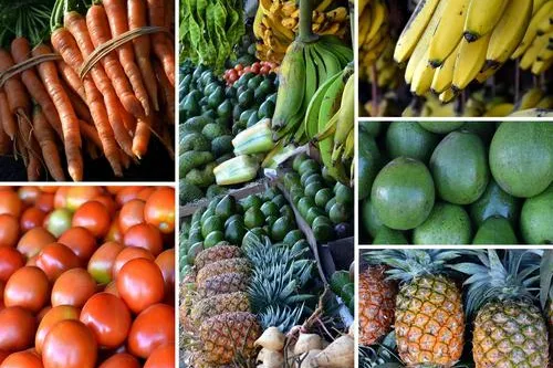 Bild: Forschungsprojekt: Obst und Gemüse
