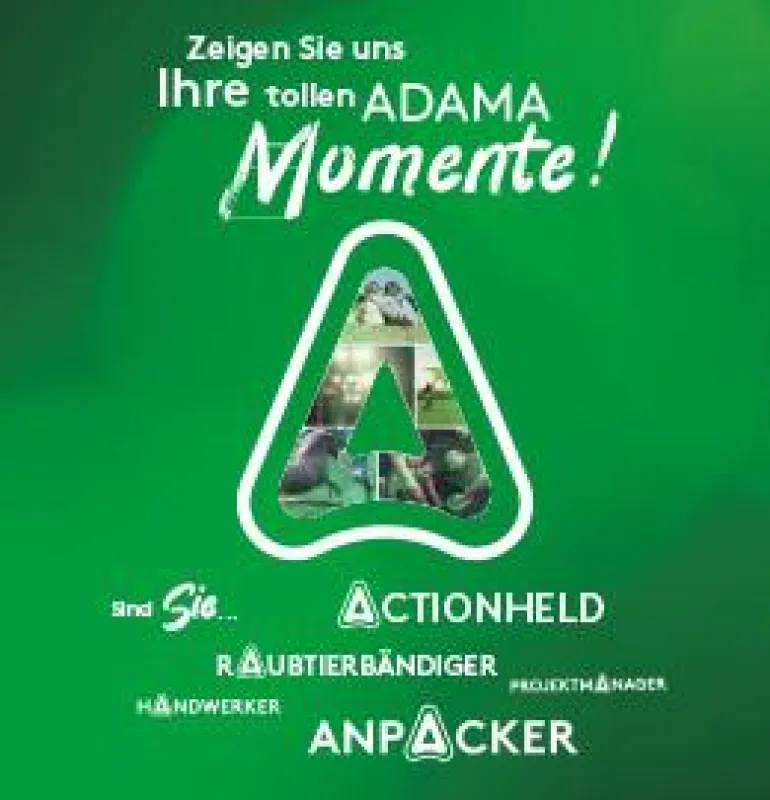 Der Anfang schöner Momente!