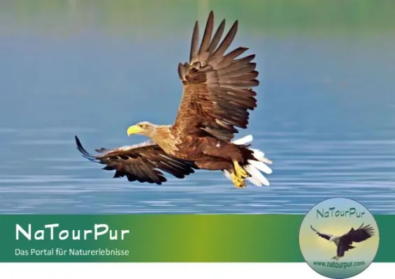 Bild: Touren für den Naturschutz bei NaTourPur