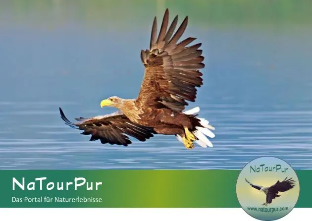 Bild: Touren für den Naturschutz bei NaTourPur