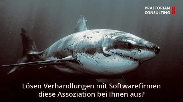 Bild: Praetorian Consulting: Kooperation mit Günther Stürner