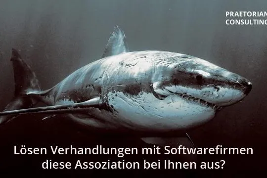 Bild: Praetorian Consulting: Kooperation mit Günther Stürner