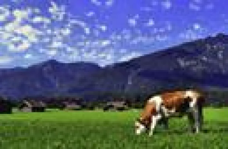 Hits aus den Bergen wählen und gewinnen Bild: Hits aus den Bergen wählen und gewinnen