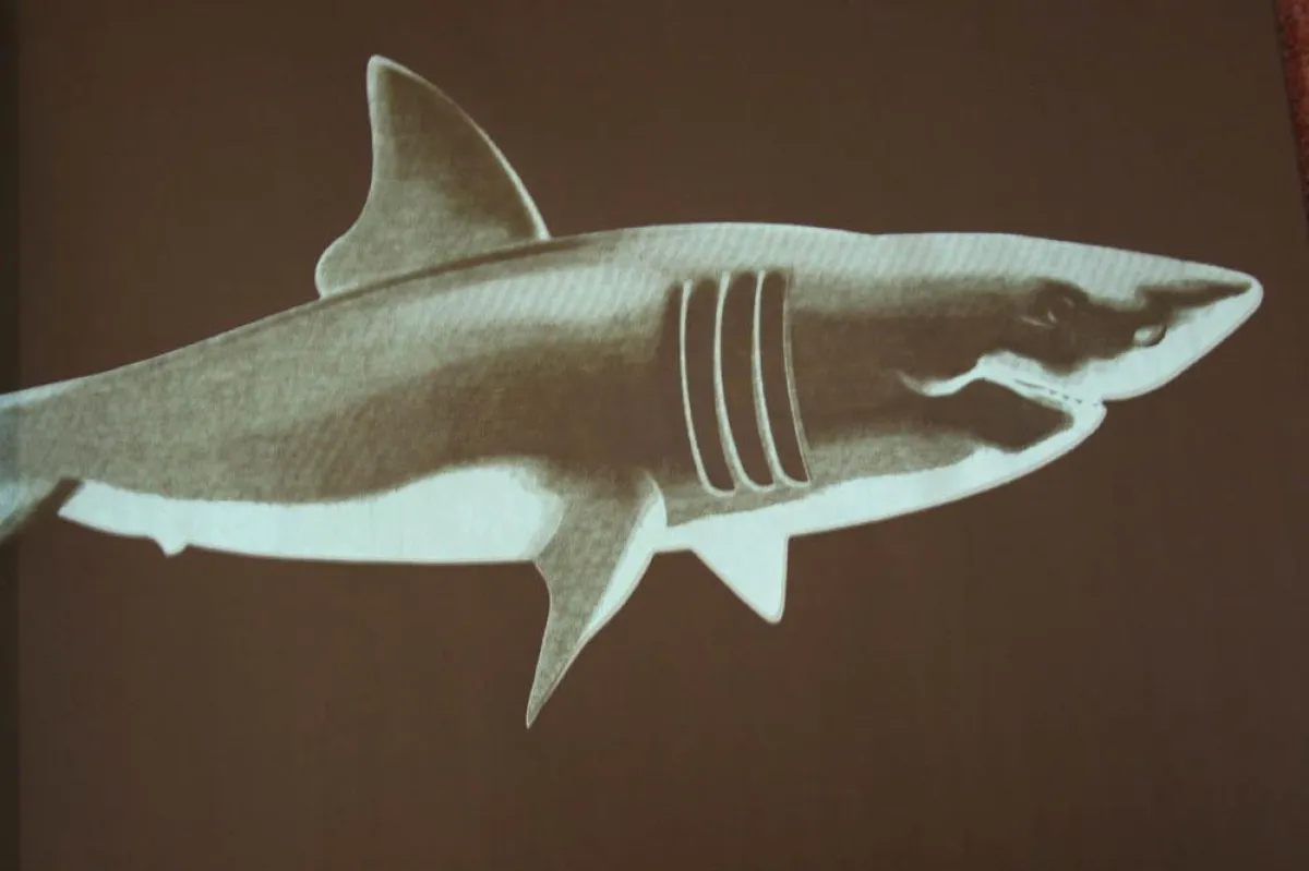 Aussergewöhnliches Design und Urban-Art prägen das Ambiente in der bond Bar