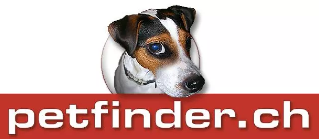 petfinder.ch, das grosse Schweizer Tierportal, ab sofort online Bild: petfinder.ch, das grosse Schweizer Tierportal, ab sofort online