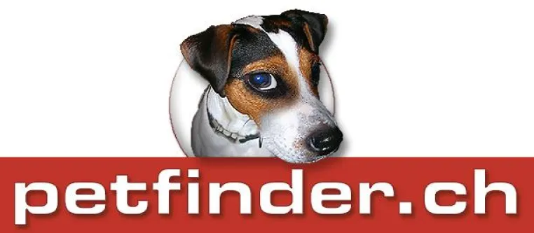 Bild: petfinder.ch, das grosse Schweizer Tierportal, ab sofort online
