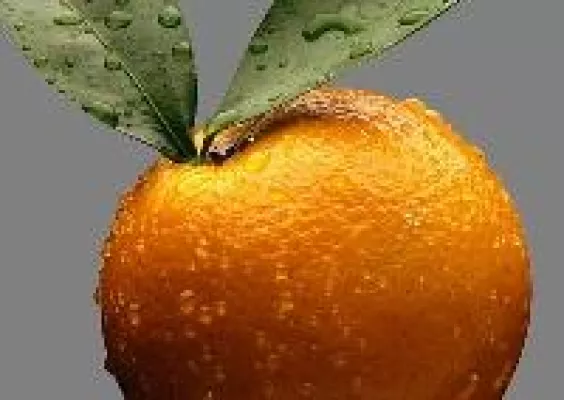 Logistikevent 2009 ausgebucht Bild: Logistikevent 2009 ausgebucht