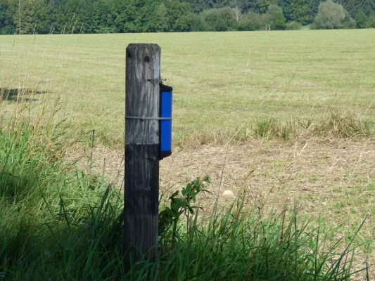 BJV appelliert an Verkehrsteilnehmer: Erhöhte Vorsicht – „Rush hour“ auf Feld und Straße Bild: BJV appelliert an Verkehrsteilnehmer: Erhöhte Vorsicht – „Rush hour“ auf Feld und Straße