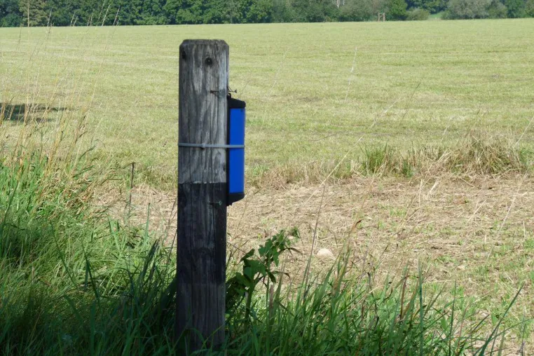 Bild: BJV appelliert an Verkehrsteilnehmer: Erhöhte Vorsicht – „Rush hour“ auf Feld und Straße