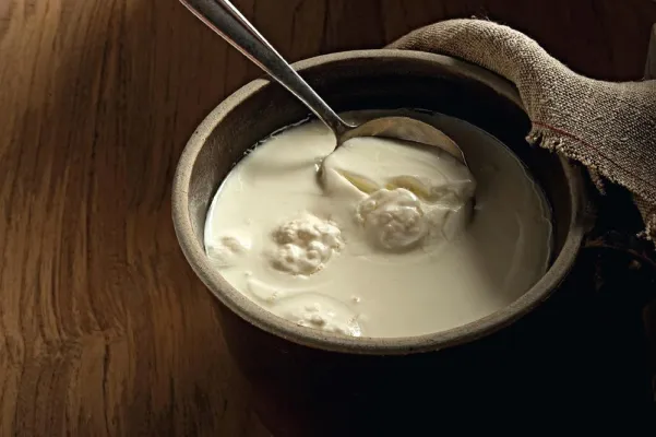 Bild: Der Expertentipp im Juli - Was ist der Unterschied zwischen Kefir und Joghurt?