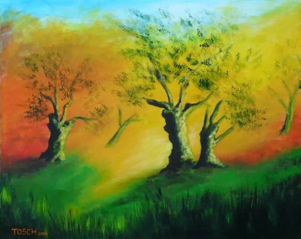 TOSCH-Morgenstimmung im Olivenhain, Öl/Acryl/Leinwand, 80x100 cm