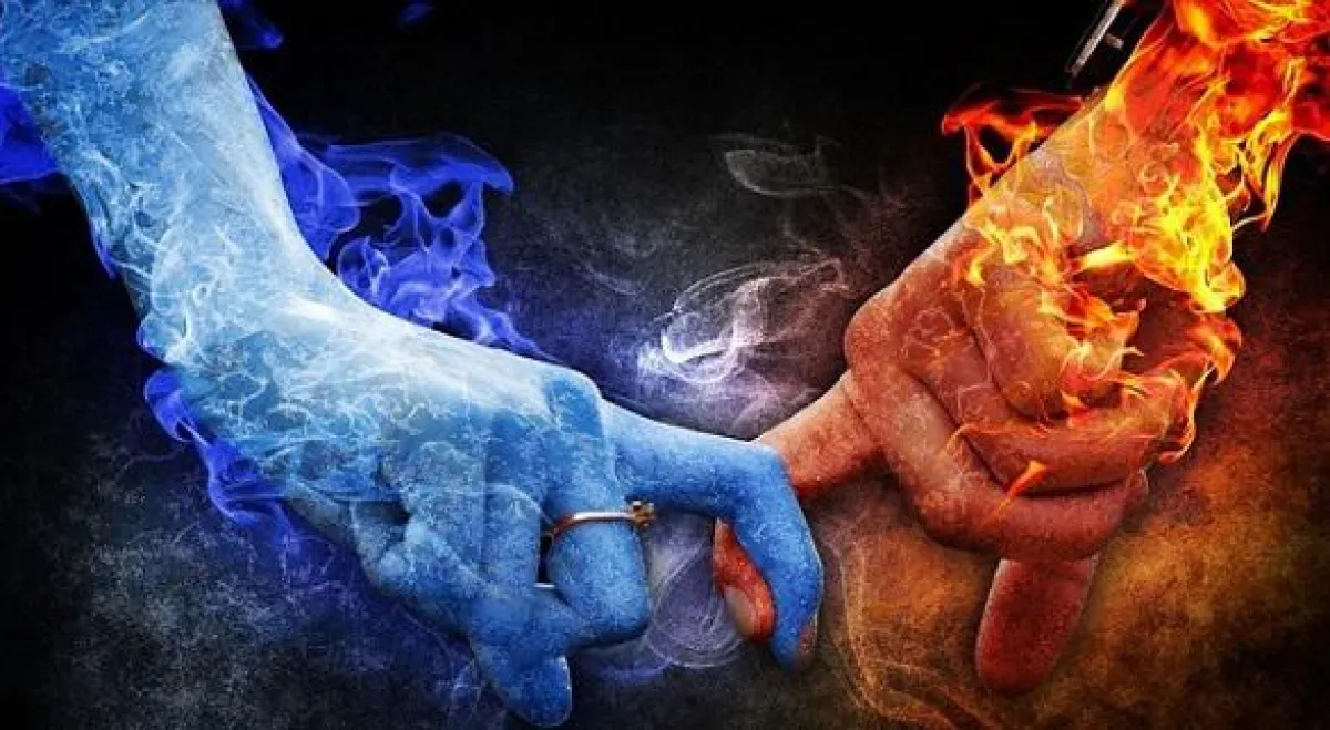 In der Biologie gibt es den Begriff Liebe gar nicht